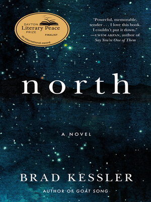 North - ebook